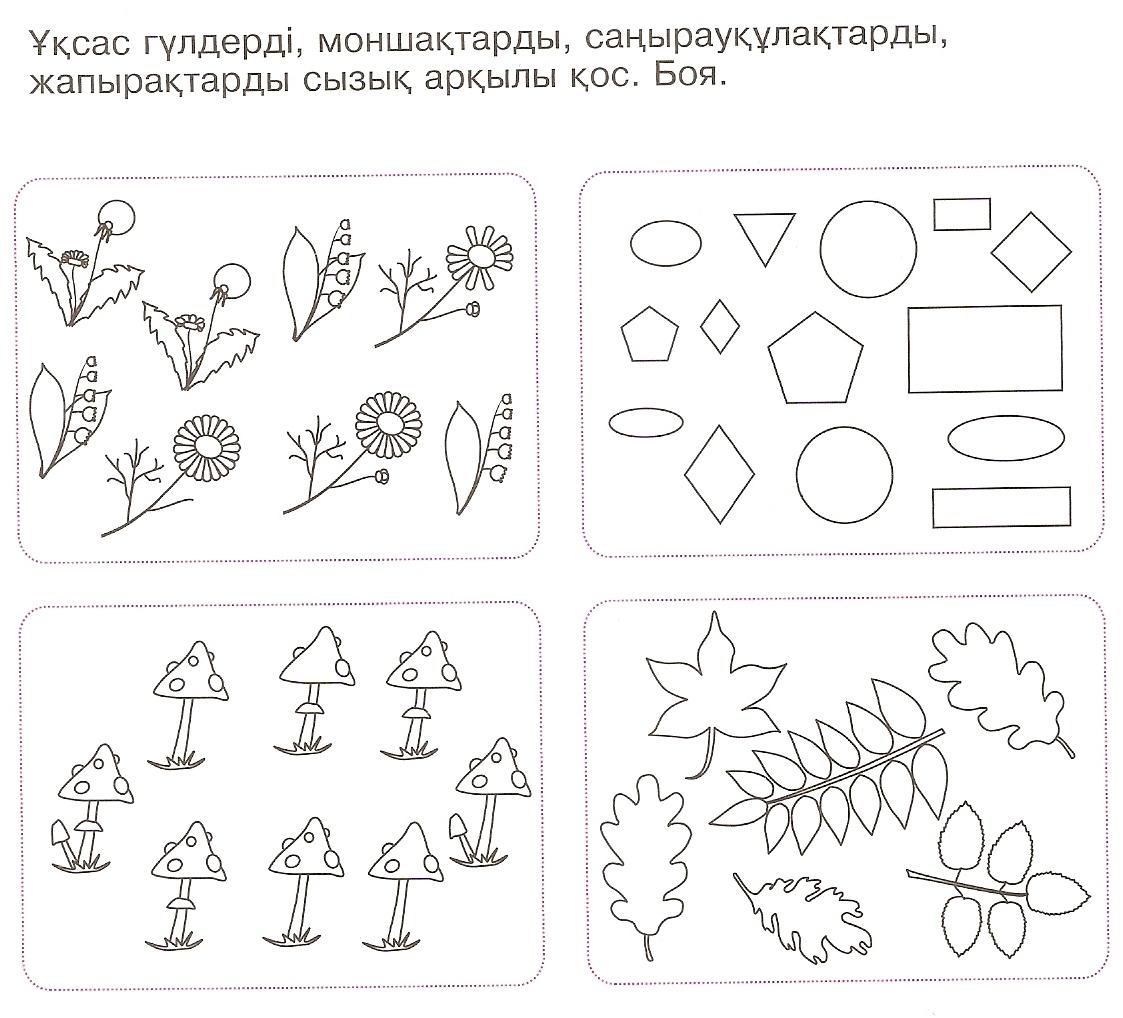 Группы предметов старшая группа