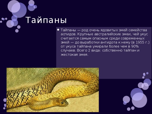 Тайпаны