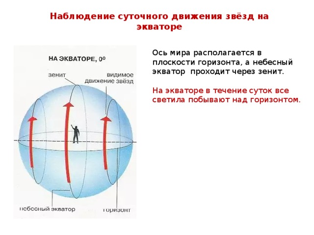 Наблюдение суточного движения звёзд на экваторе Ось мира располагается в плоскости горизонта, а небесный экватор проходит через зенит. На экваторе в течение суток все светила побывают над горизонтом.