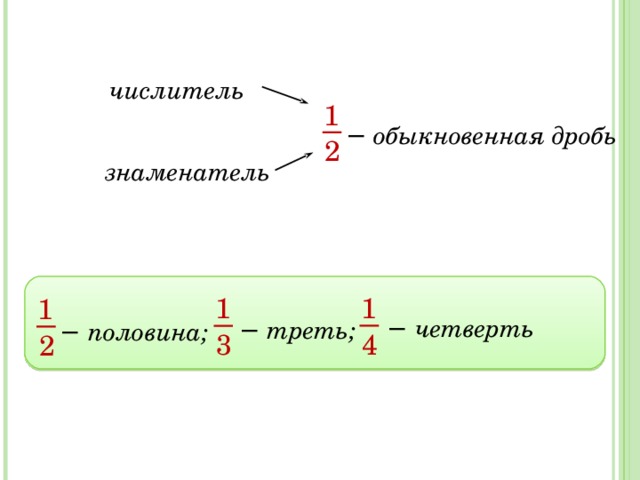 числитель 1 −  обыкновенная дробь 2 знаменатель    1 1 1 −  четверть −  треть; −  половина; 4 3 2 10