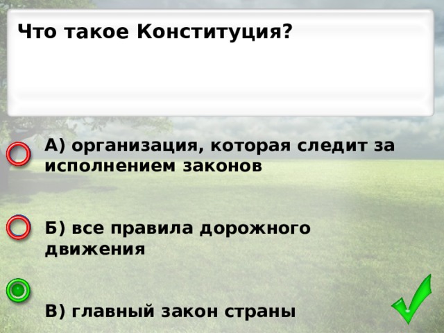 Что такое Конституция? А) организация, которая следит за исполнением законов     Б) все правила дорожного движения     В) главный закон страны