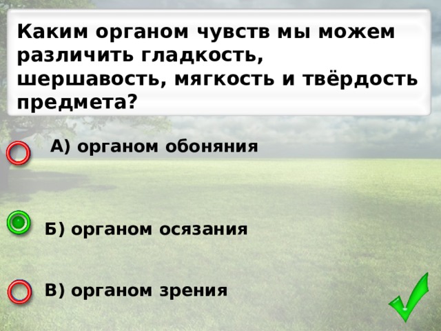 Каким органом чувств мы можем различить гладкость, шершавость, мягкость и твёрдость предмета?  А) органом обоняния    Б) органом осязания   В) органом зрения