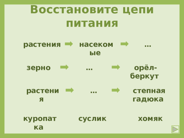 Цепь питания степной зоны