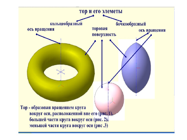 Фигура торы